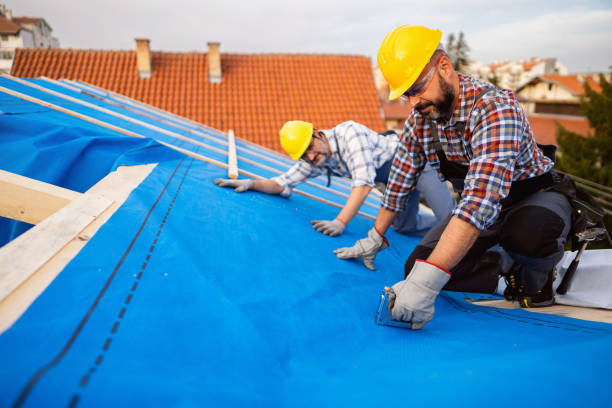 Best New Roof Installation  in Waterbury, CT